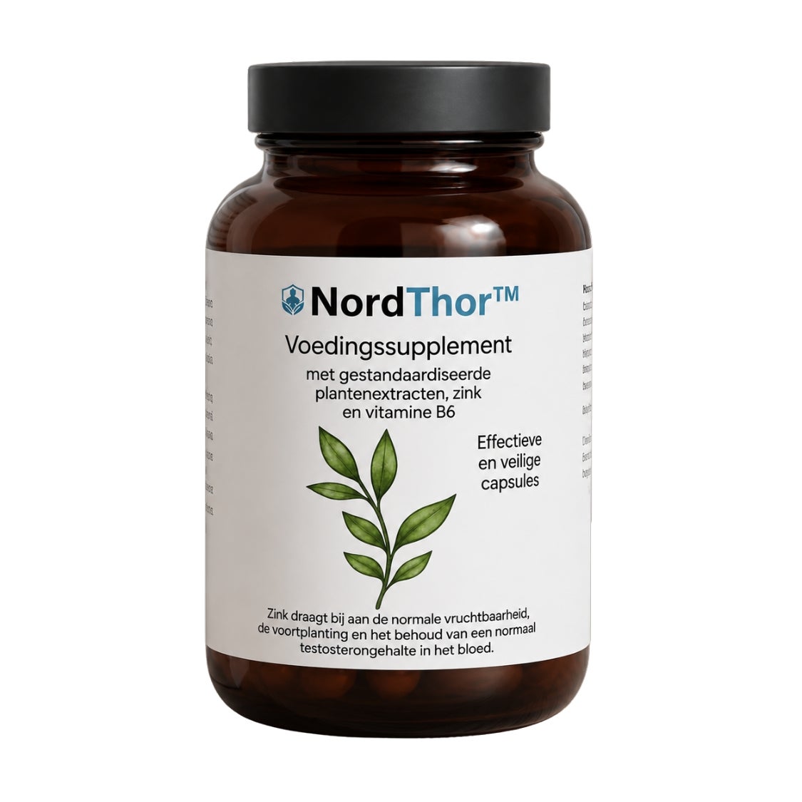 NordThor