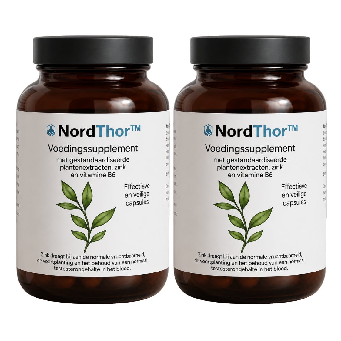 NordThor
