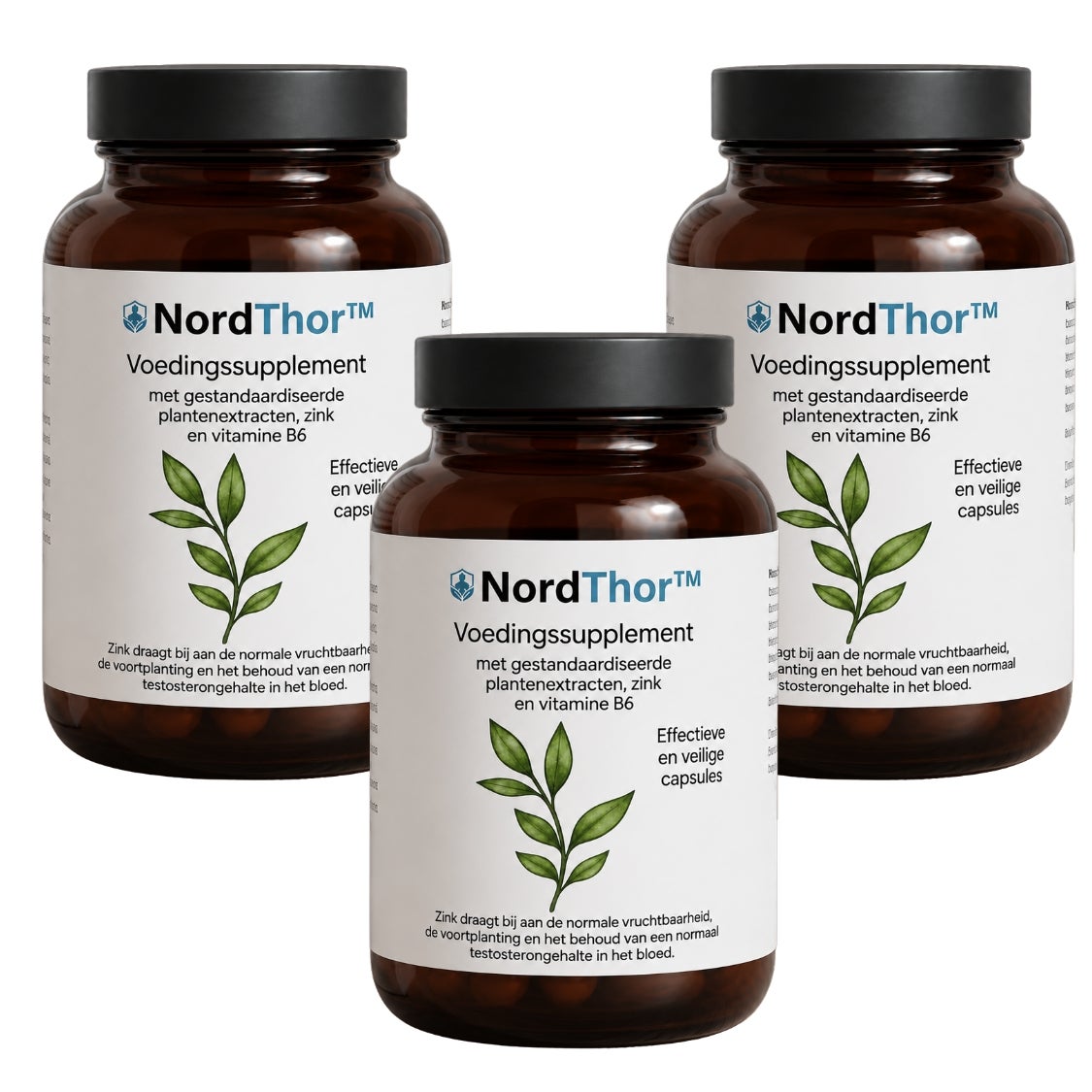 NordThor