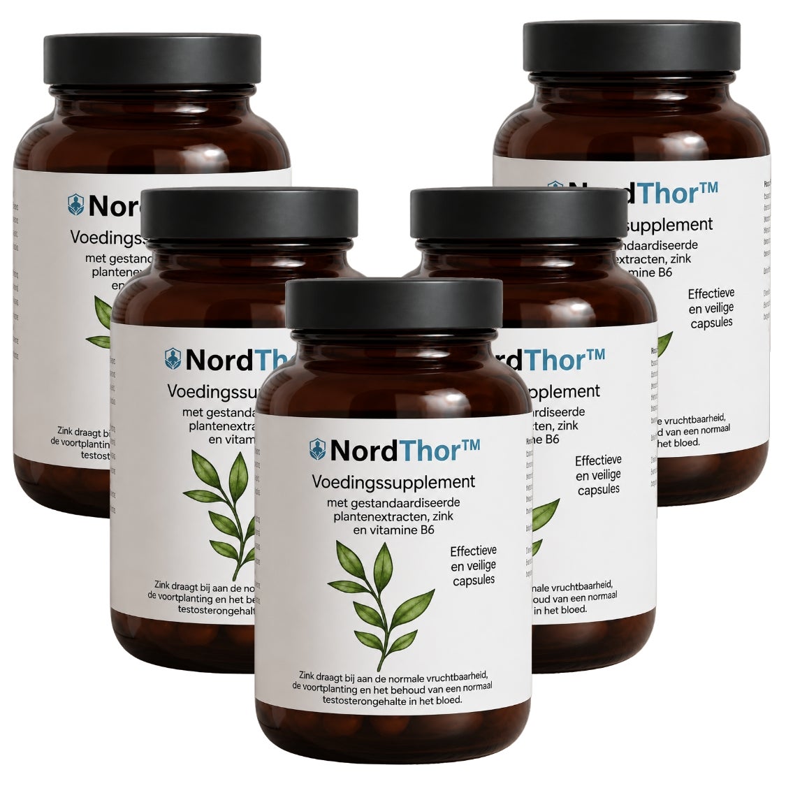NordThor