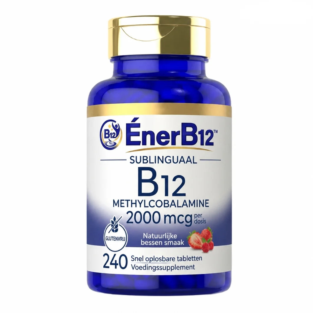 EnerB12