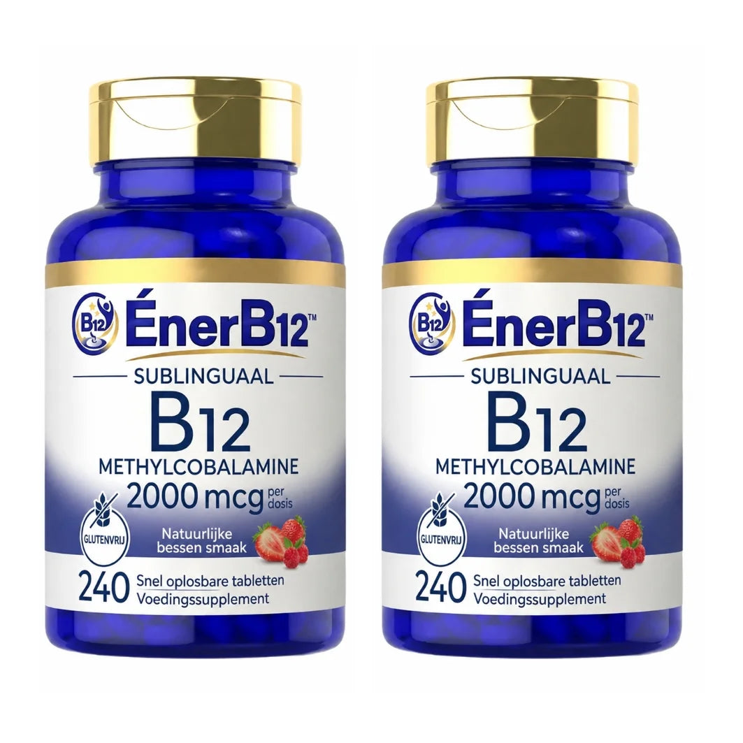 EnerB12