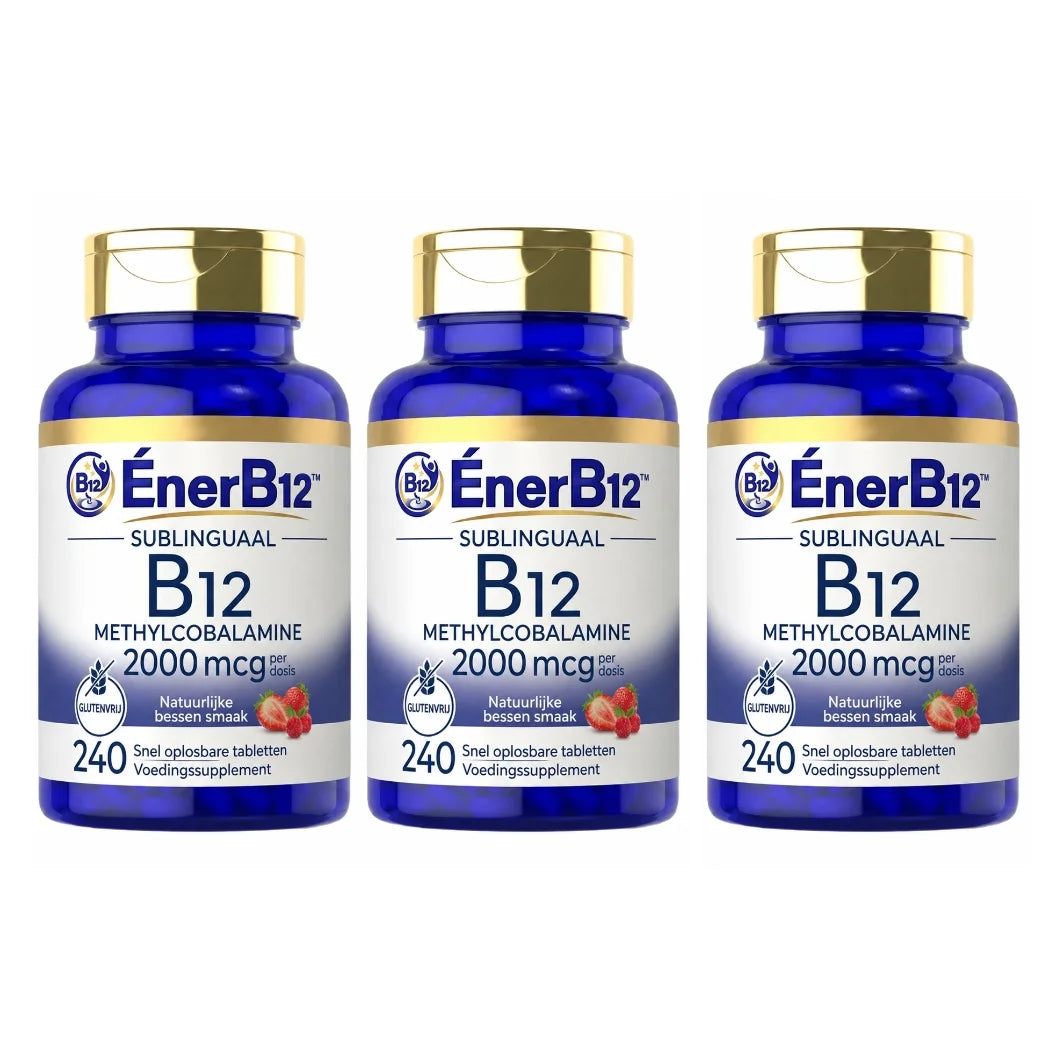 EnerB12