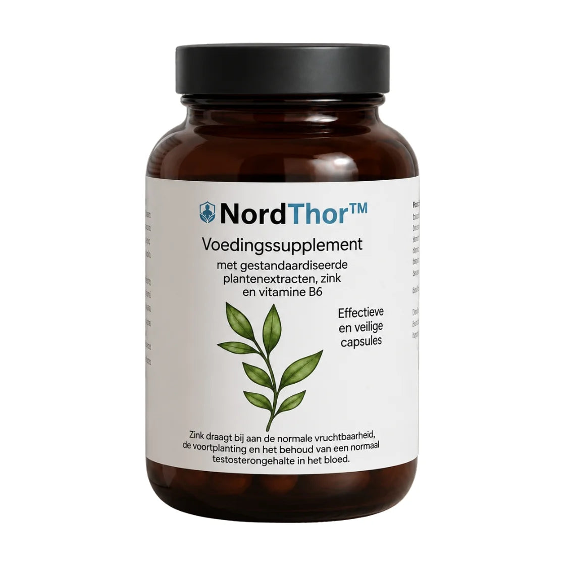 NordThor